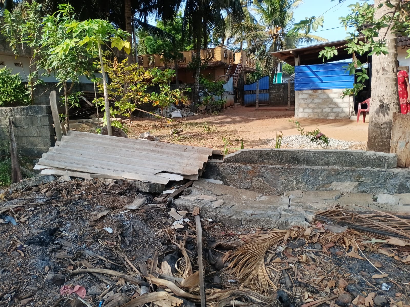 வவுனியா நகருக்குள் நுழைந்து அட்டகாசம் புரிந்த காட்டு யானை.