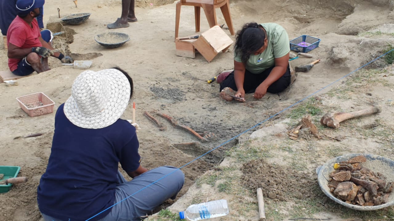 செம்மணியில் 100 +  நேற்று மட்டும் 11 மனித எலும்புக்கூடுகள் அடையாளம் ஒரே நாளில் அதிக என்புத் தொகுதிகள் கண்டுபிடிப்பு.