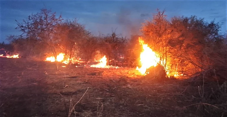 அன்னவாசல் அருகே காட்டுத்தீ: நள்ளிரவில் பரபரப்பு!