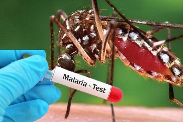 யாழில் மலேரியாவால் ஒருவர் மரணம்!