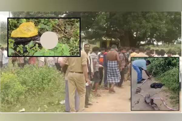 கர்நாடகா: சாலையில் வீசப்பட்ட பெண்ணின் உடல் பாகங்கள்; கொடூர கொலை சம்பவம்