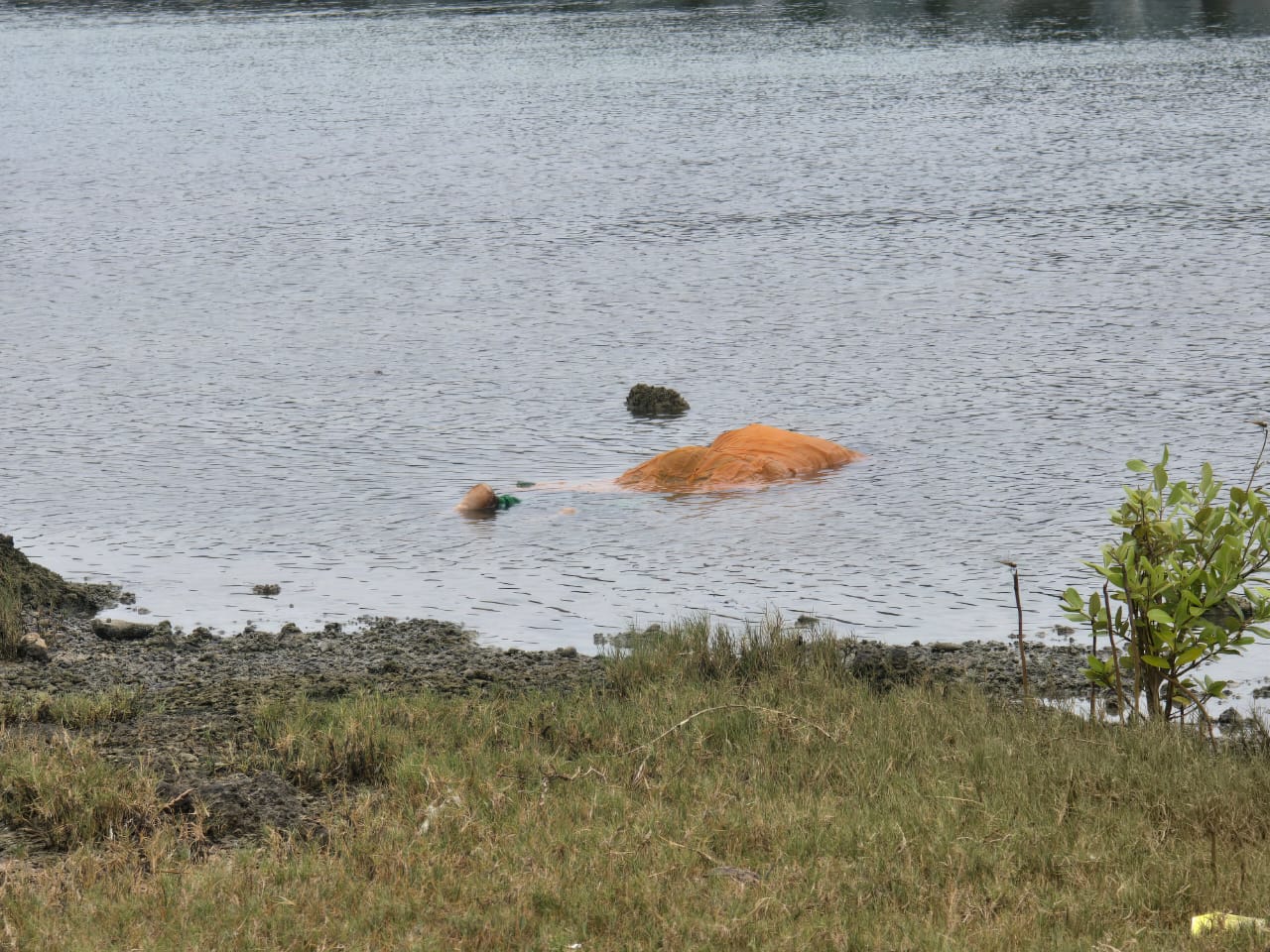 செல்வச்சந்நிதி ஆலயத்துக்கு வழிபடச் சென்ற பெண்ணே தொண்டைமானாறு கடல்நீரேரியில் இருந்து சடலமாக மீட்பு!