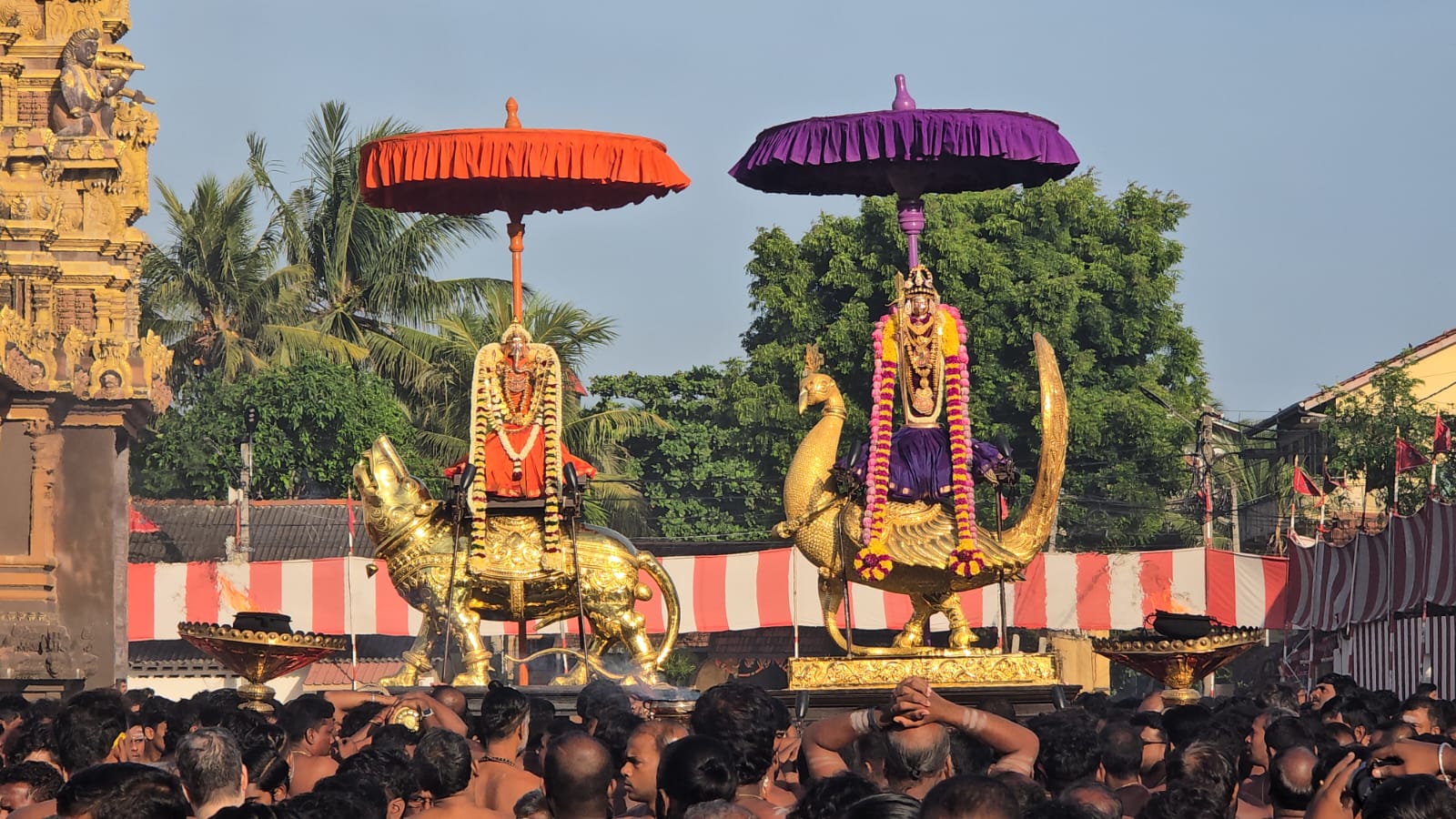 நல்லூர் கந்தனில் இன்று சிறப்பாக நடைபெற்ற மாம்பழத்  திருவிழா!