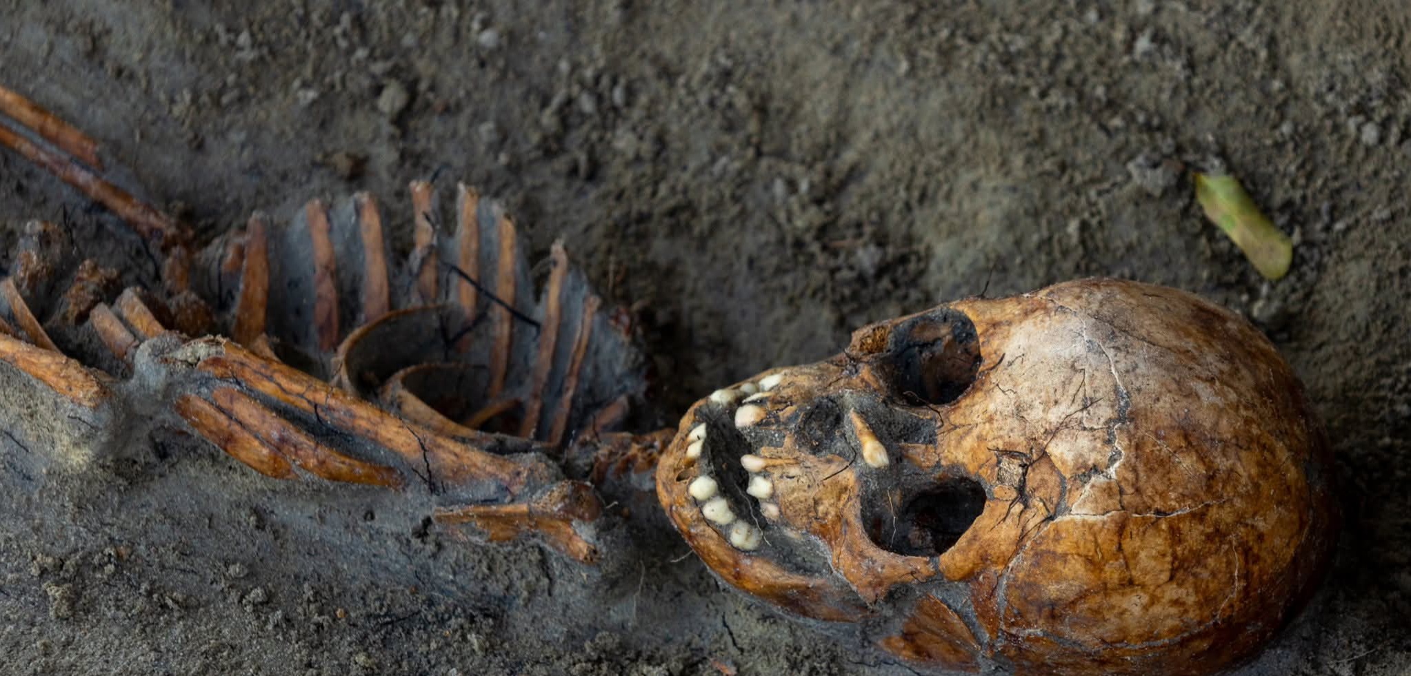 செம்மணியில் மேலும் 10 எலும்புக்கூடுகள் அடையாளம்!