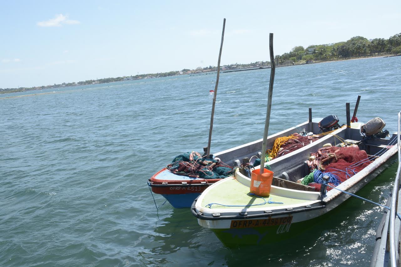 சட்டவிரோத மீன்பிடி முறைகளைப் பயன்படுத்தி மீன்பிடியில் ஈடுபட்ட 22 நபர்கள் கைது!