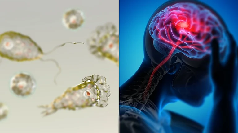 கேரளத்தில் மீண்டும் தலைதூக்கும் மூளை உண்ணும் அமீபா: 9 வயது சிறுமி பலி, மேலும் இருவர் தீவிர சிகிச்சை!