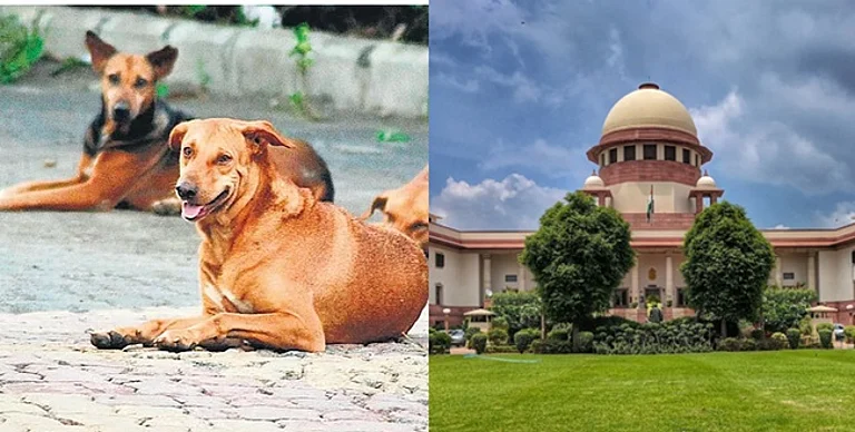 உச்சநீதிமன்றம் புதிய உத்தரவு: தெருநாய்களை காப்பகங்களில் அடைக்கத் தேவையில்லை!
