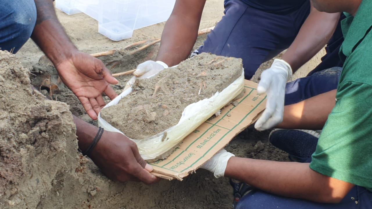 செம்மணியில் பச்சிளம் குழந்தையின் என்புத்தொகுதி!