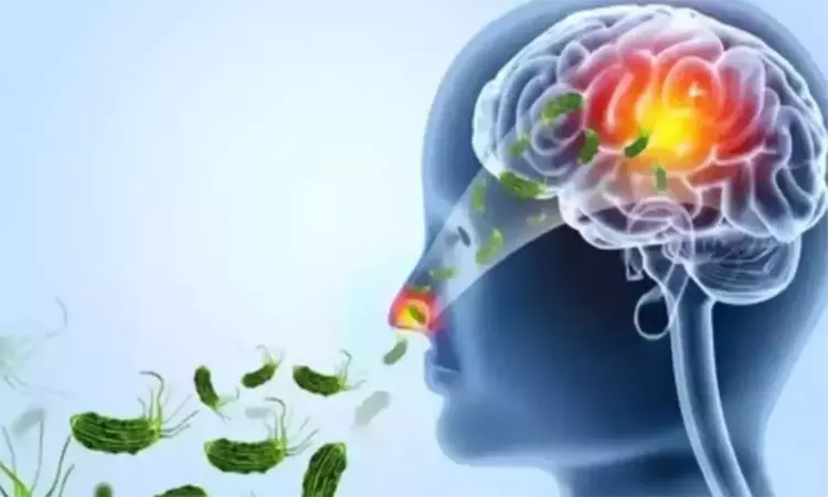 கேரளாவில் மேலும் ஒருவருக்கு அமீபா மூளைக்காய்ச்சல் பாதிப்பு: மொத்தம் 6 பேர் உயிரிழப்பு