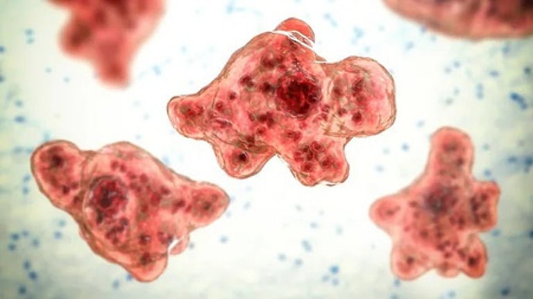 கேரளத்தில் மூளையைத் தின்னும் அமீபா தொற்றால் மேலும் 2 பேர் உயிரிழப்பு!