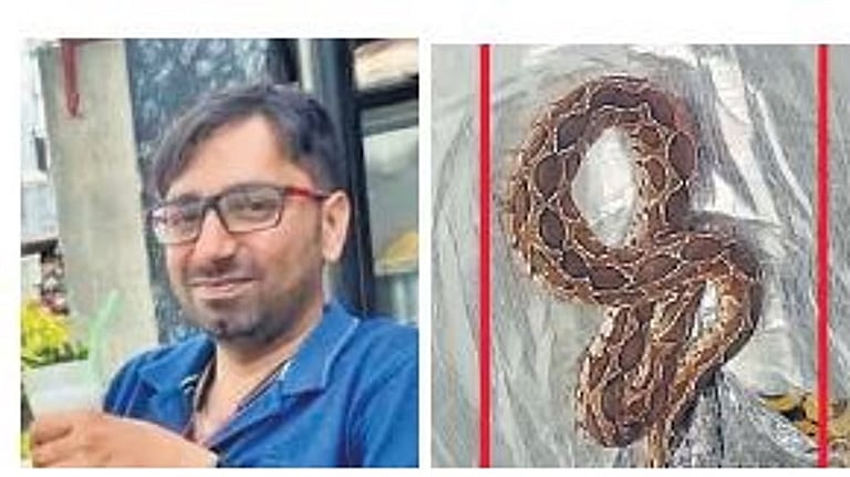 காலணிக்குள் இருந்த பாம்பு கடித்து உயிரிழந்த பெங்களூரு மென்பொறியாளர்!