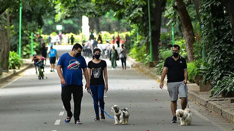சென்னையில் வளர்ப்பு நாய்கள் உரிமையாளர்களுக்கு முக்கிய அறிவிப்பு: மைக்ரோ சிப் கட்டாயம்