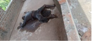 சம்மாந்துறையில் ஆணின் சடலம் மீட்பு!