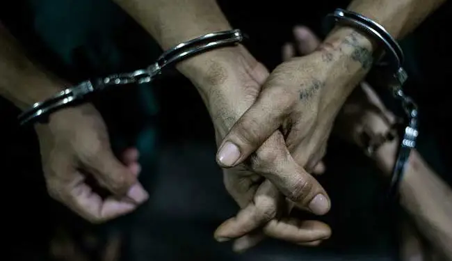 8 கையடக்கத் தொலைபேசிகள் திருட்டு!   சி.சி.ரி.வி. கமரா ஊடாக மூவர் கைது!!