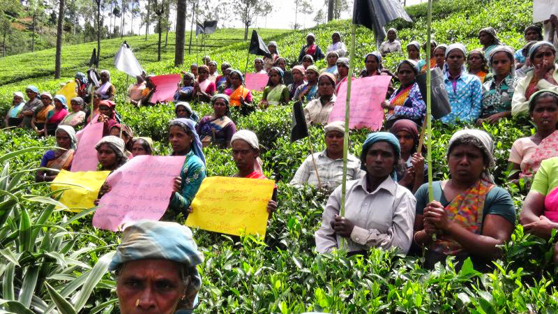 பெருந்தோட்டத் தொழிலாளர் சம்பள உயர்வு:  மறு திகதி  அறிவிக்கப்படாமல் பேச்சுவார்த்தை ஒத்திவைப்பு!