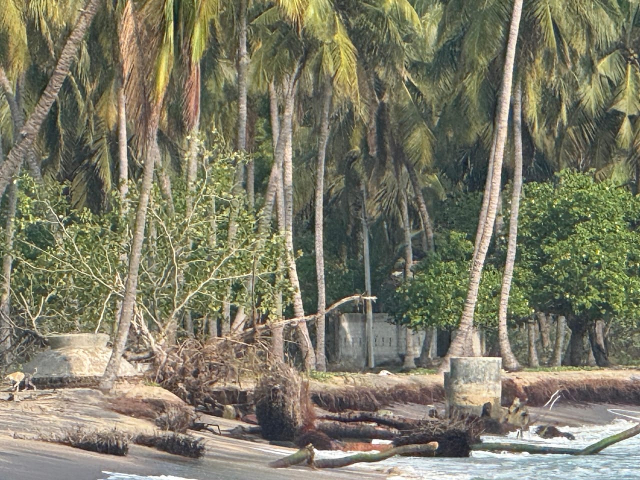 கிழக்கில் மீண்டும் பாரிய கடலரிப்பில் சிக்கித் தவிக்கும் திருக்கோவில் பிரதேசம்.