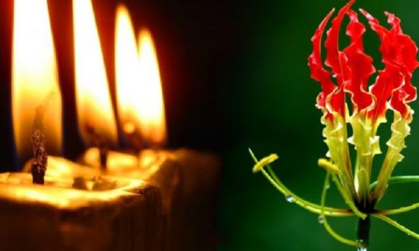 மாவீரர் வாரம் இன்று ஆரம்பம்  – தமிழர் தேசமெங்கும் உணர்வெழுச்சி நிகழ்வுகள் இன்று ஆரம்பம்  – தமிழர் தேசமெங்கும் உணர்வெழுச்சி நிகழ்வுகள்.