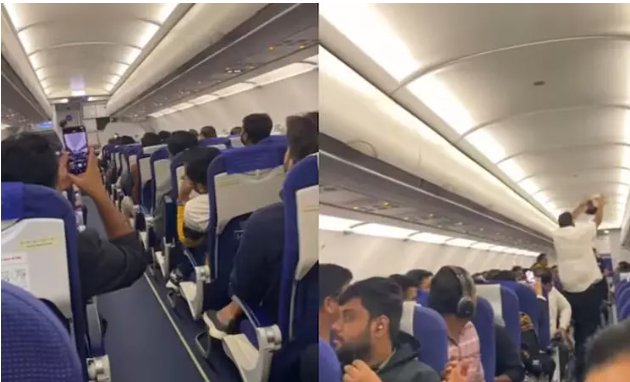 பெங்களூரு விமானத்தில் திடீரெனப் புகுந்த புறா..விரட்டி விரட்டி பிடித்த பணிப்பெண்கள்..வாயடைத்த பயணிகள்