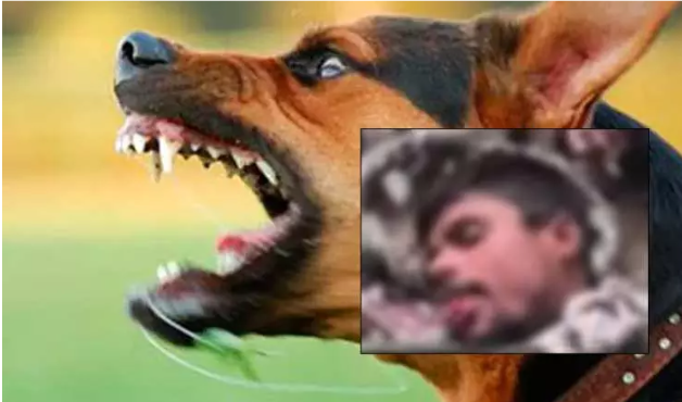 ரேபிஸின் கோர முகம்! தெருநாய் கடித்த சில மணிநேரங்களில் ஊளையிட்ட வாலிபர்: அலிகாரில் நடந்த பகீர் சம்பவம்