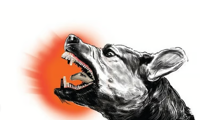 மத்தியப் பிரதேசத்தில் பயங்கரம்: பச்சிளம் குழந்தையின் உடலைக் கவ்விச் சென்ற தெரு நாய்!