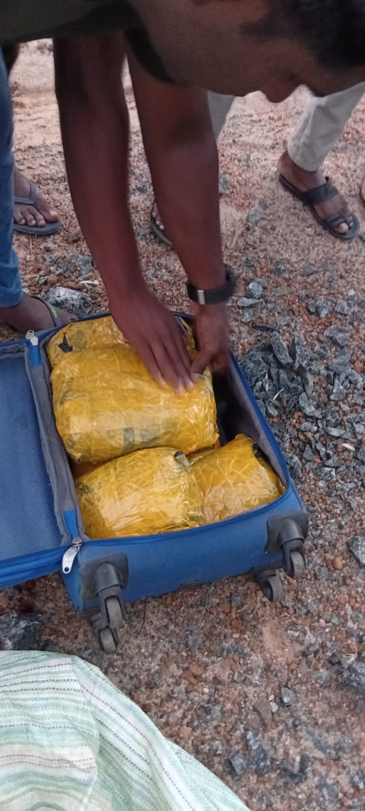 வடமராட்சியில் 12 கிலோ கேரள கஞ்சா மீட்பு!