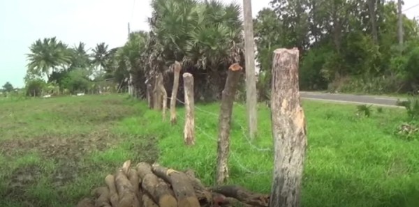 அநுர அரசிலும் தொடர்கின்றது அடாவடி  எழுவைதீவில் தனியார் காணிகள் கடற்படையினருக்குச் சுவீகரிப்பு!