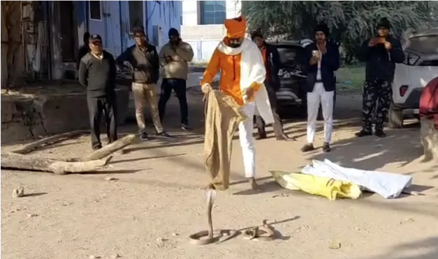 “எந்தப் பாம்பு கடிச்சதுனு தெரியல.. அதான் மூணையும் தூக்கிட்டு வந்தேன்!” – 3 நாகப்பாம்புகளுடன் ஆஸ்பத்திரிக்கு வந்த வாலிபர்