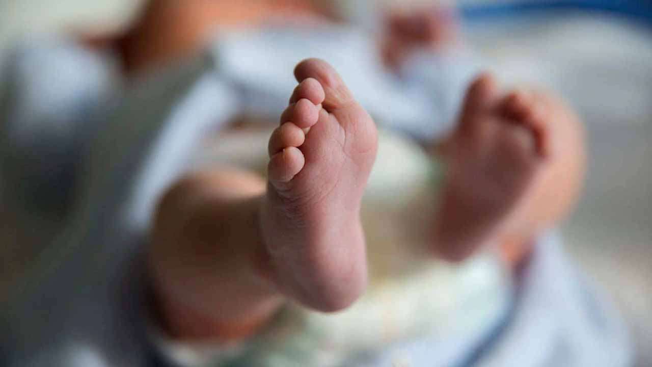 இருதய, நுரையீரல் நோயால் 7 மாதக் குழந்தை உயிரிழப்பு!  – யாழ்ப்பாணத்தில் சோகம்.