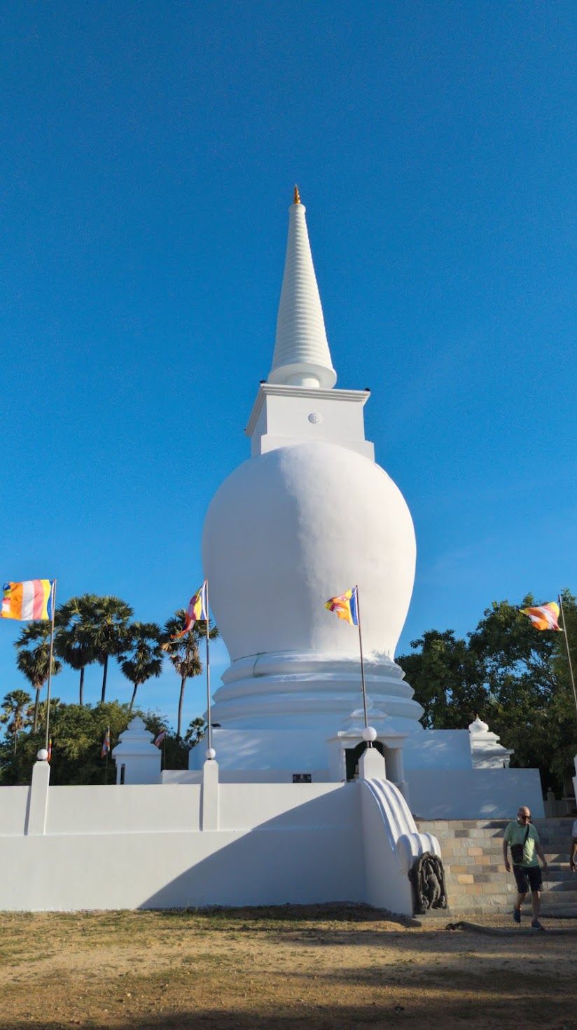 இன அழிப்பில் ஈடுபட்ட இராணுவத்தின் கோரமுகமே தையிட்டி திஸ்ஸ விகாரை! – தமிழ்த் தேசிய மக்கள் முன்னணி சுட்டிக்காட்டு.