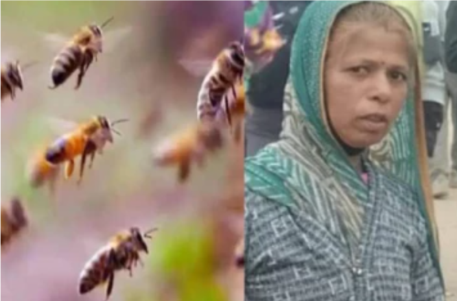 20 குழந்தைகளின் உயிரைக் காக்கத் தன் உயிரைத் தந்த தாய்! – அங்கன்வாடி சமையல் பெண்ணின் வீர மரணம்.