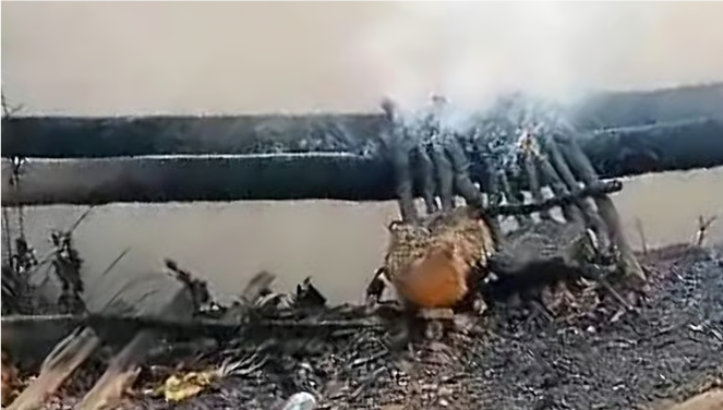 மேகாலயாவில் சட்டவிரோதமாக இயங்கிய நிலக்கரிச் சுரங்கத்தில் ஏற்பட்ட வெடிவிபத்தில் 16 பேர் பலி