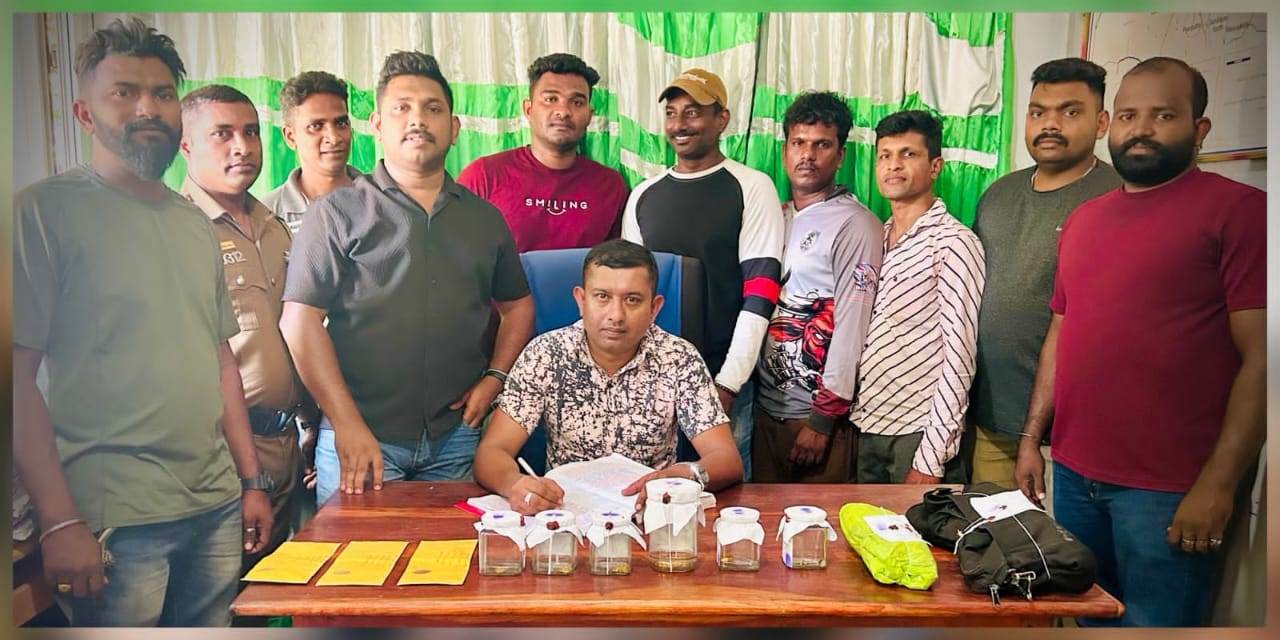 இளவாலையில் போதைப்பொருளுடன் கைதான இளைஞர் ஒருவரிடமிருந்து திருட்டு நகைகள் மீட்பு!