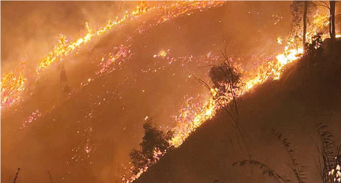 கொடைக்கானலில் விடிய, விடிய பற்றி எரிந்த காட்டுத்தீ