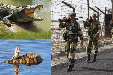 எல்லையில் இனி ‘பாம்பு, முதலை’ படை! ஊடுருவலைத் தடுக்க BSF-இன் அதிரடித் திட்டம்.