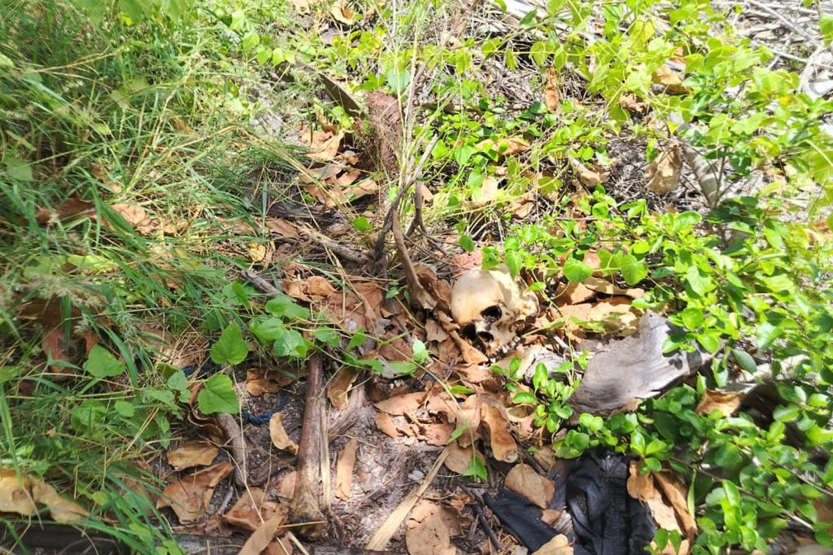 அல்லைப்பிட்டியில் எலும்புக்கூடாக மீட்கப்பட்ட சடலம்  – தற்கொலையா? கொலையா? எனப் பொலிஸார் தீவிர விசாரணை.