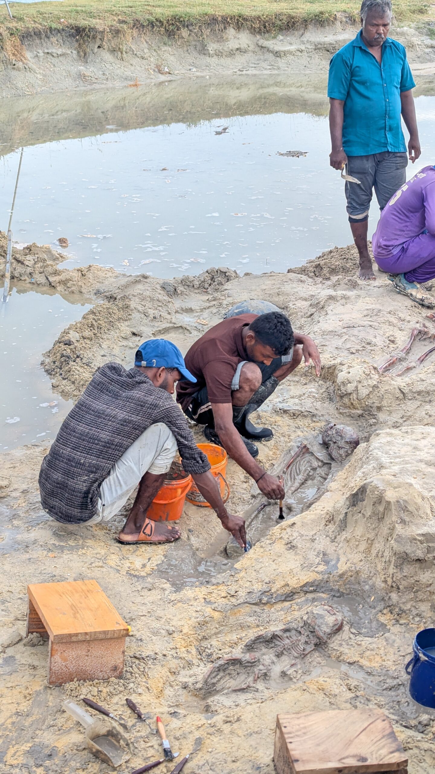 செம்மணியில் 260 ஆக உயர்ந்தது மனித எச்சங்களின் எண்ணிக்கை  – புதிதாக சிறுவன் ஒருவனின் என்புக்கூடு நேற்று அடையாளம்.