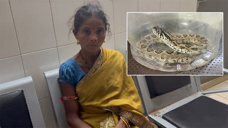துணிச்சலின் உச்சம்: கடித்த பாம்புடன் ஆஸ்பத்திரிக்குச் சென்ற பெண்!