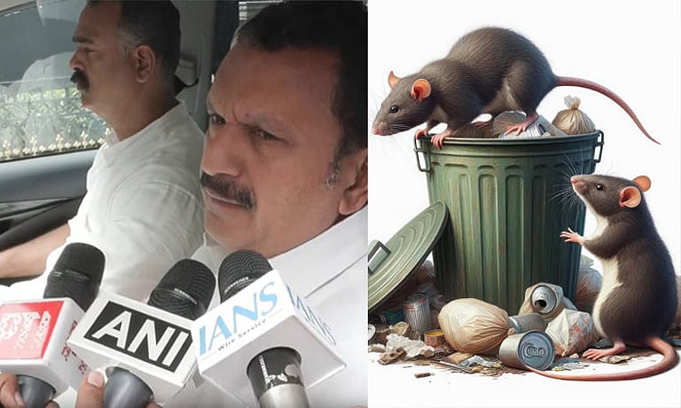 கேரளாவில் பரவும் எலிக்காய்ச்சல்: 2 பேர் பலி, 9 பேருக்கு பாதிப்பு உறுதி!