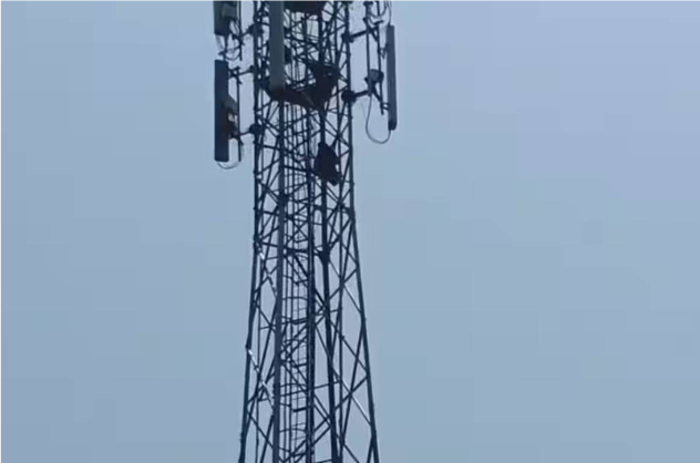 காதலனை சிறையிலிருந்து மீட்க போராட்டம்: 100 அடி உயர மொபைல் டவரில் ஏறிய இளம்பெண்ணால் பரபரப்பு!