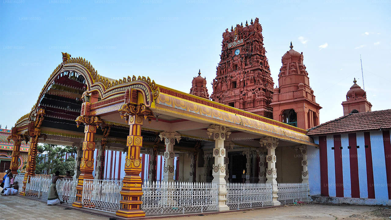 மாவைக் கந்தனுக்கு நாளை கொடியேற்றம்.