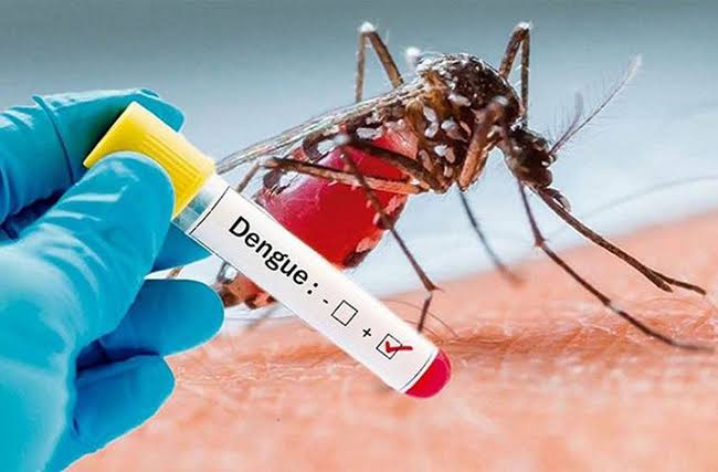 டெங்கு தீவிரம்! 39 பேர் மரணம்!!  – 58 ஆயிரத்தைக் கடந்தது பாதிப்பு.