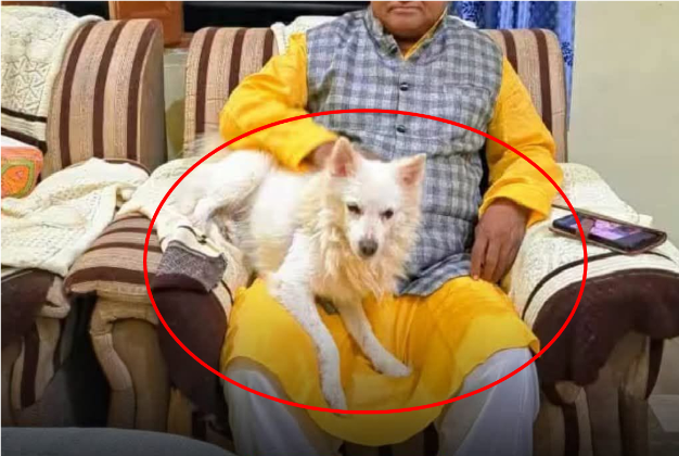 மரணத்திலும் பிரியாத பாசம்: எஜமானரின் இறுதி ஊர்வலத்தில் உயிர்விட்ட வளர்ப்பு நாய்!