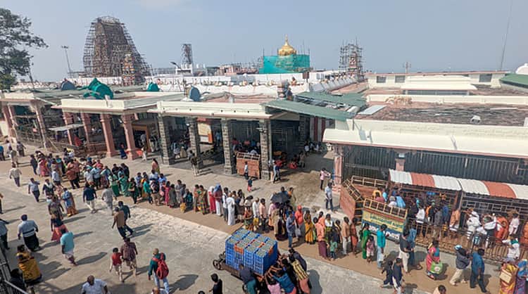 பழனி முருகன் கோயிலுக்கு வெடிகுண்டு மிரட்டல்: தருமபுரி வாலிபர் கைது!